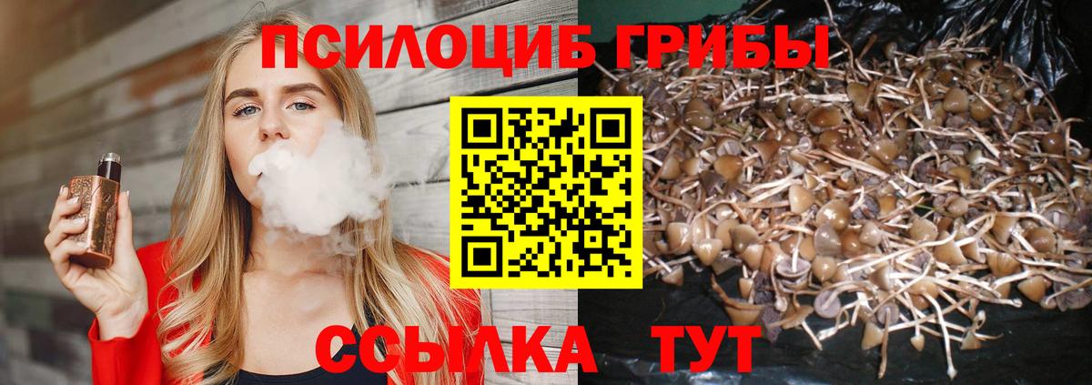 Лсд 25  MDMA  МЕФ кристаллы  Кокаин  ЭКСТАЗИ  Вход с VPN  Codein  Дальнереченск  Канабис  Гашиш 